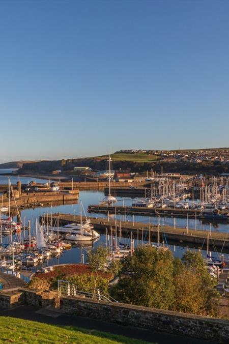 Whitehaven